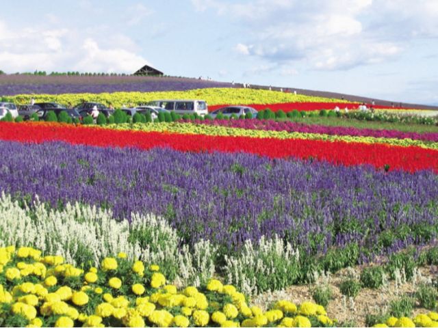 周辺施設:かんのファーム