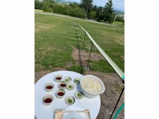 全長25メートルの流しそうめん体験してみませんか♪