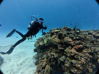 離島プラン・体験ダイビング