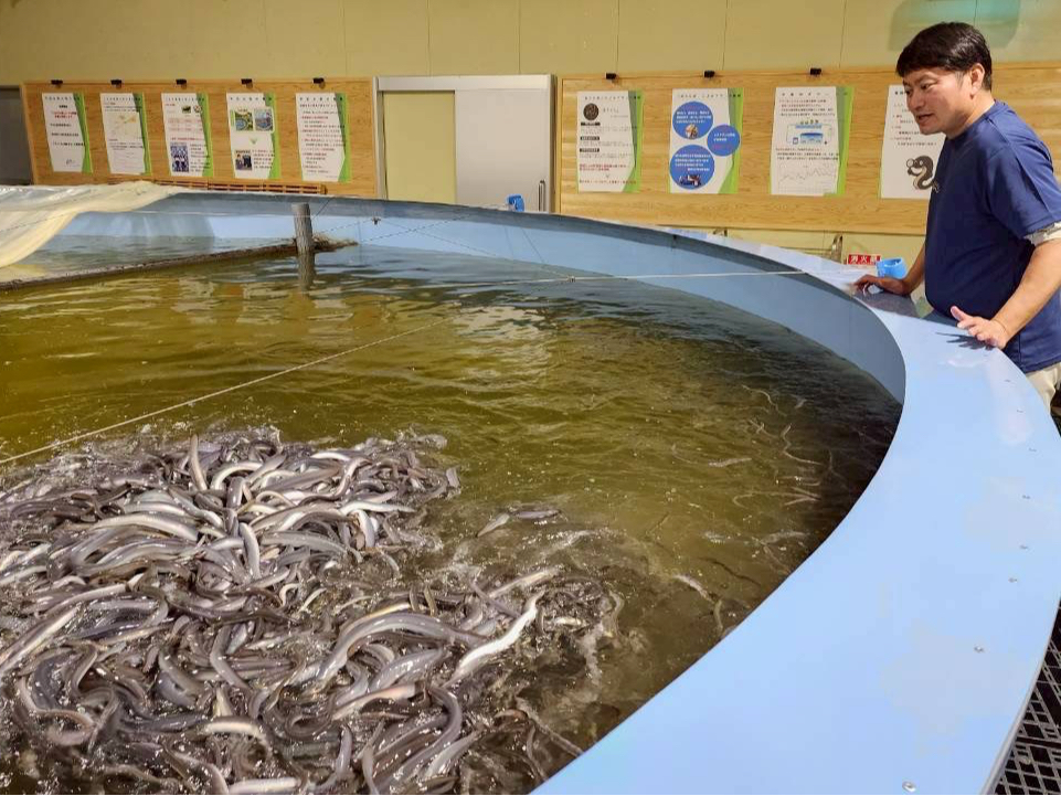 埼玉・上里】屋内養殖場見学（一般見学コース）～陸上養殖の仕組みと
