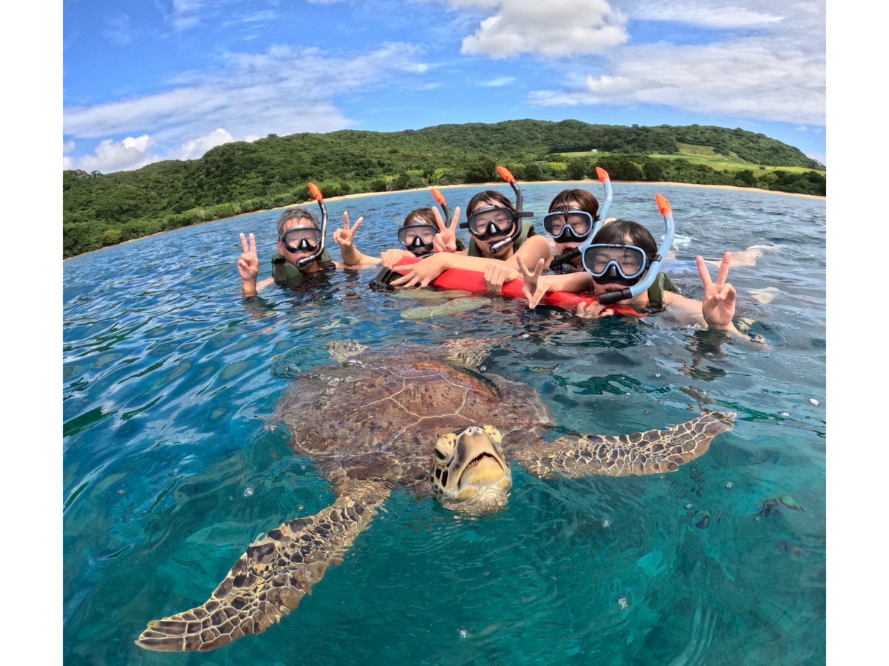 ウミガメさんと記念撮影!