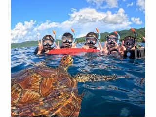 ウミガメの息継ぎが高確率で見れちゃいます!