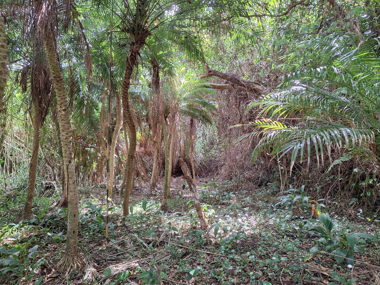 極狭(約50u)フィールドだから可能な完全貸切