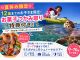 夏休み限定特典スタート!宮古島の夏を満喫しよう!