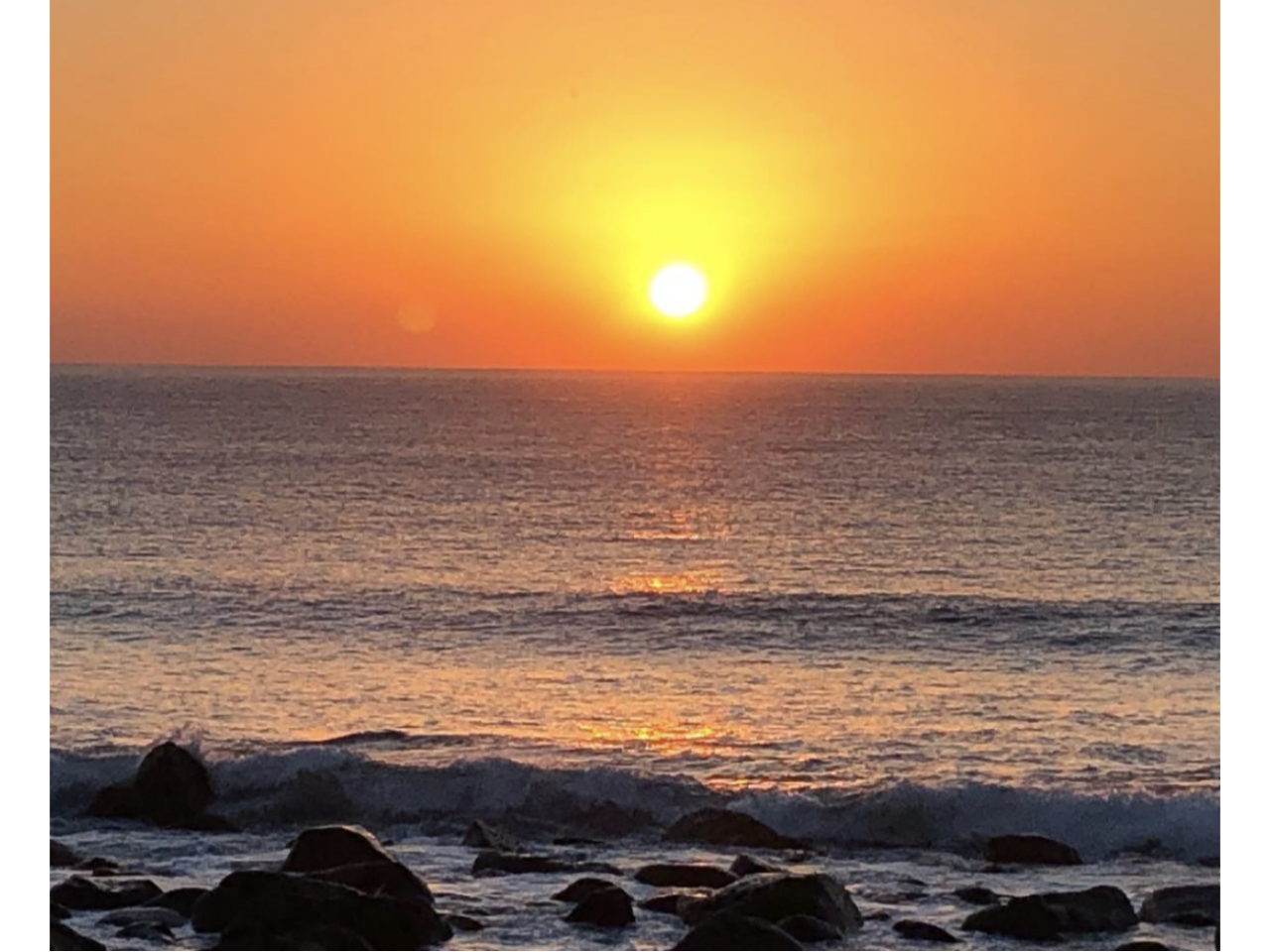 JbvEt@~[̋LOʐ^ɍœKȎBe|Cg