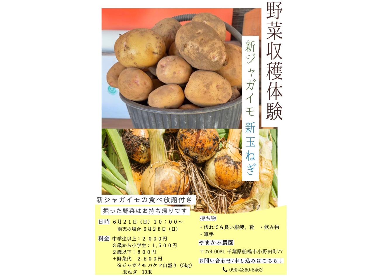 6月21日(日)開催 ランチ付きやまかみ農園で新じゃがいも&新玉ねぎ収穫体験