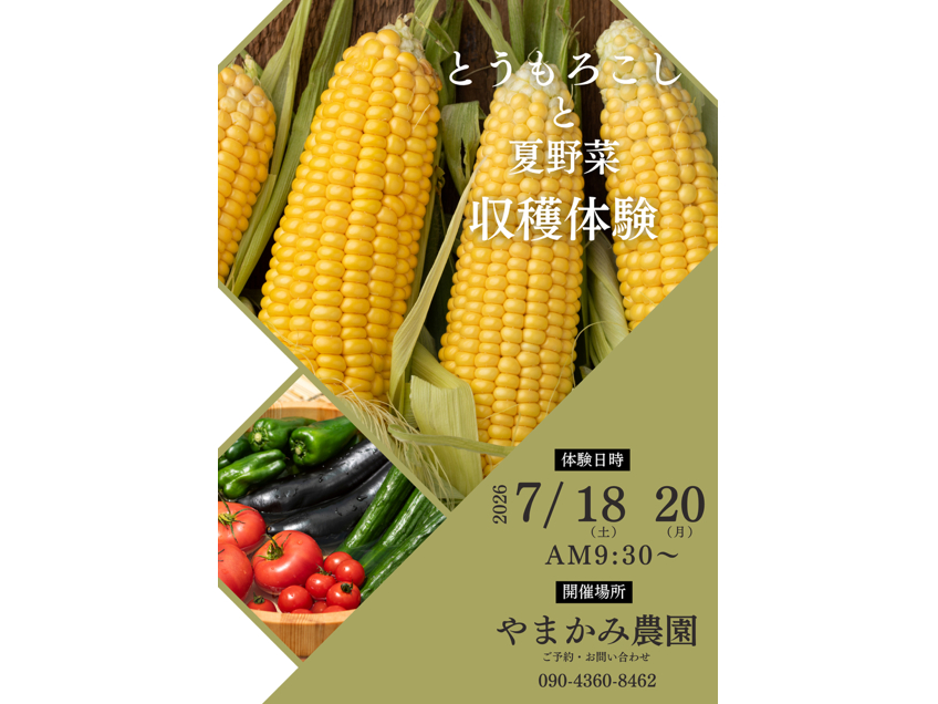 【7月18日・20日】夏野菜&とうもろこし収穫体験~採れたて試食付き~