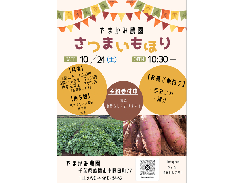 【10月24日限定】やまかみ農園でサツマイモ掘り&農園野菜を使った昼食付プラン!...