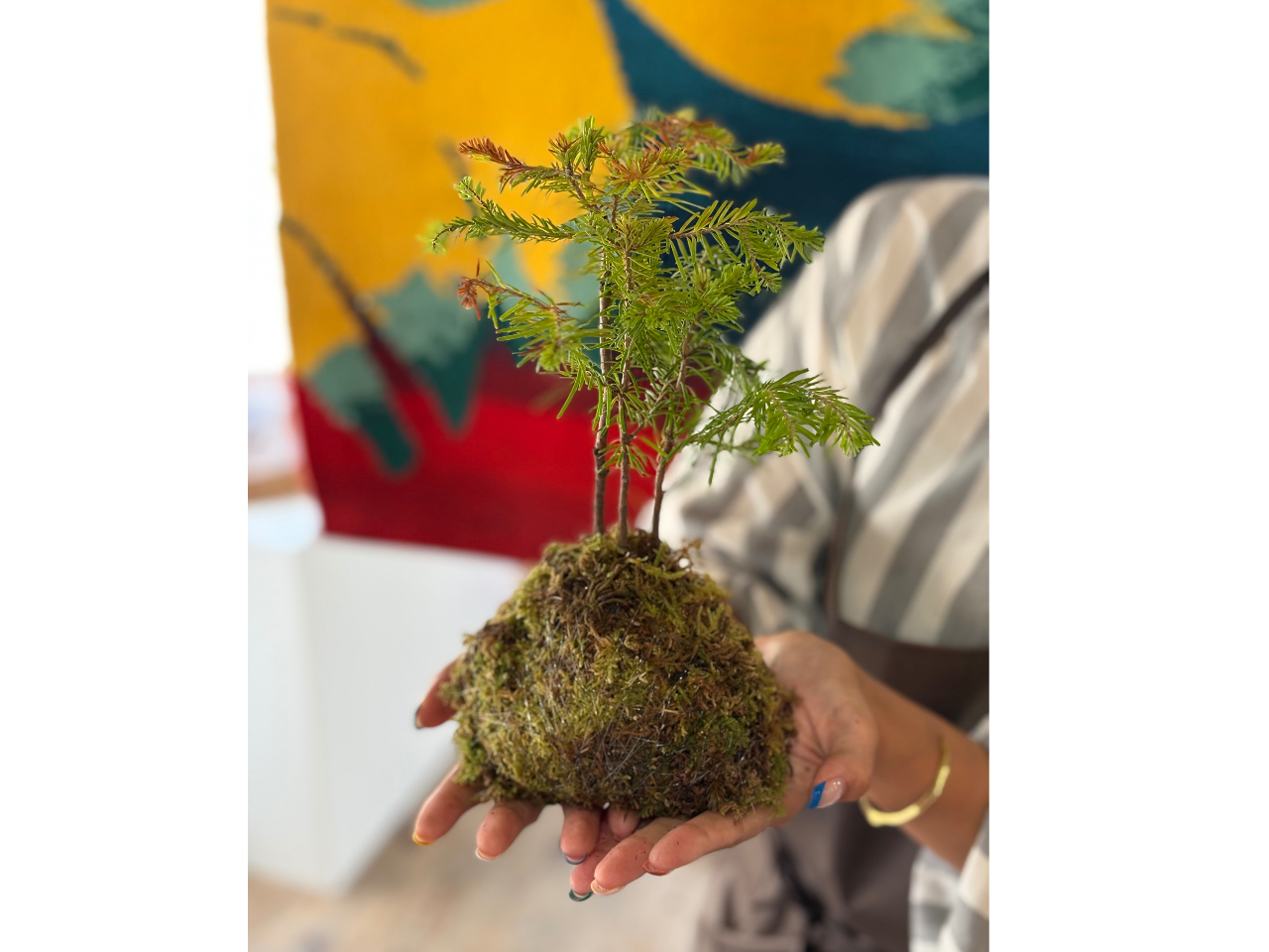 wۋʁx́A܂ۂȂĂDȃJ^`ɎRɍ܂傤Iuɂv݂Ɏdオ[ƏΊ̂q܂Ɓw~͑ۂɂẍꖇłB