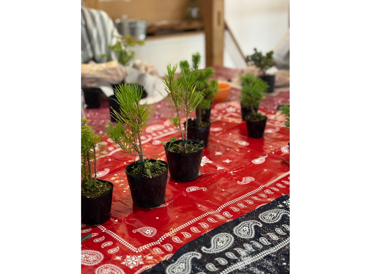 ~͂ۋʂɂ郏[NVbvłBghAAܗtȂǂW߂Ă܂BDȃ|bgIł܂B