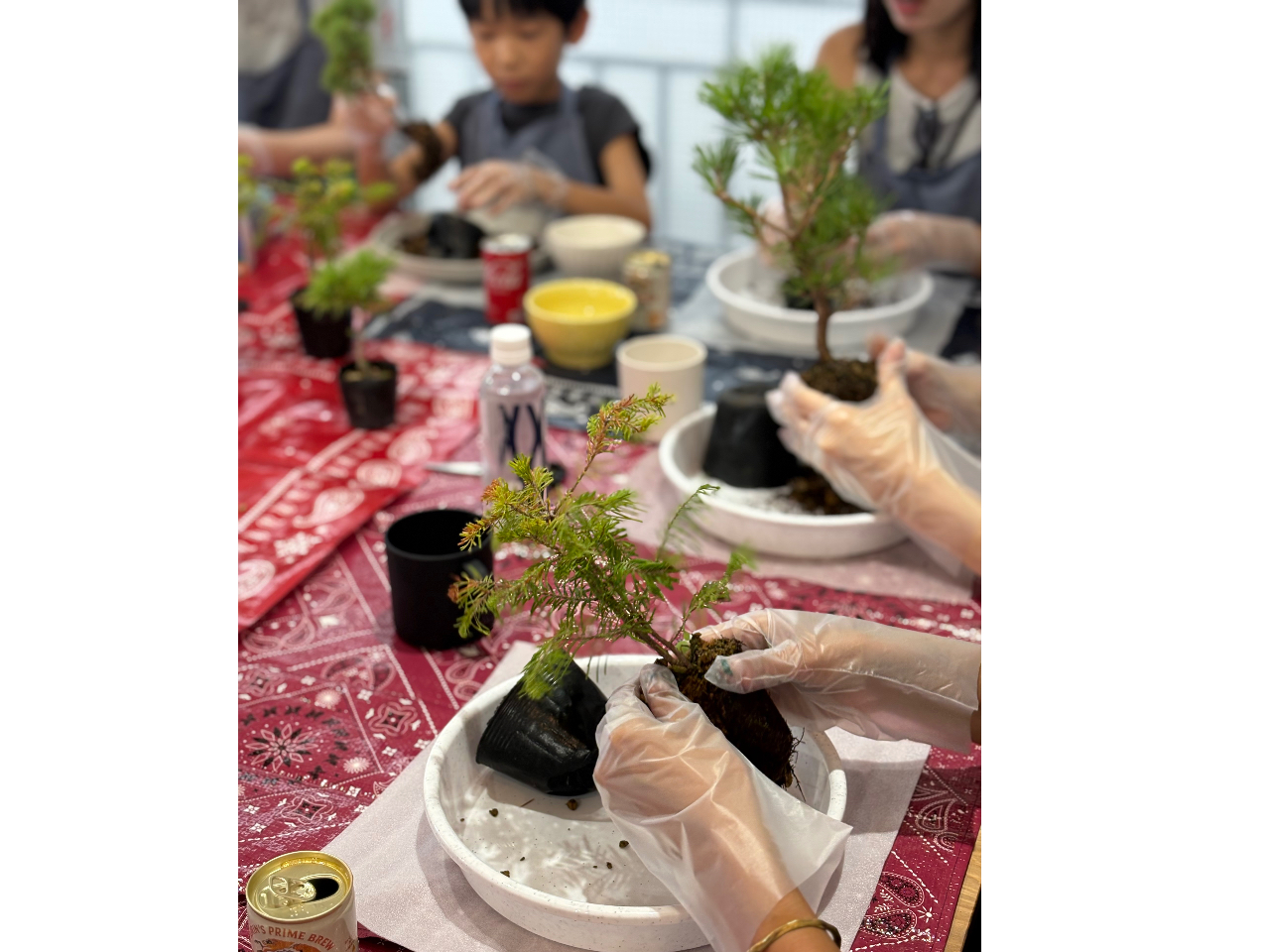 ~͂̕cI񂾂łA|bgočƊJn̉ł