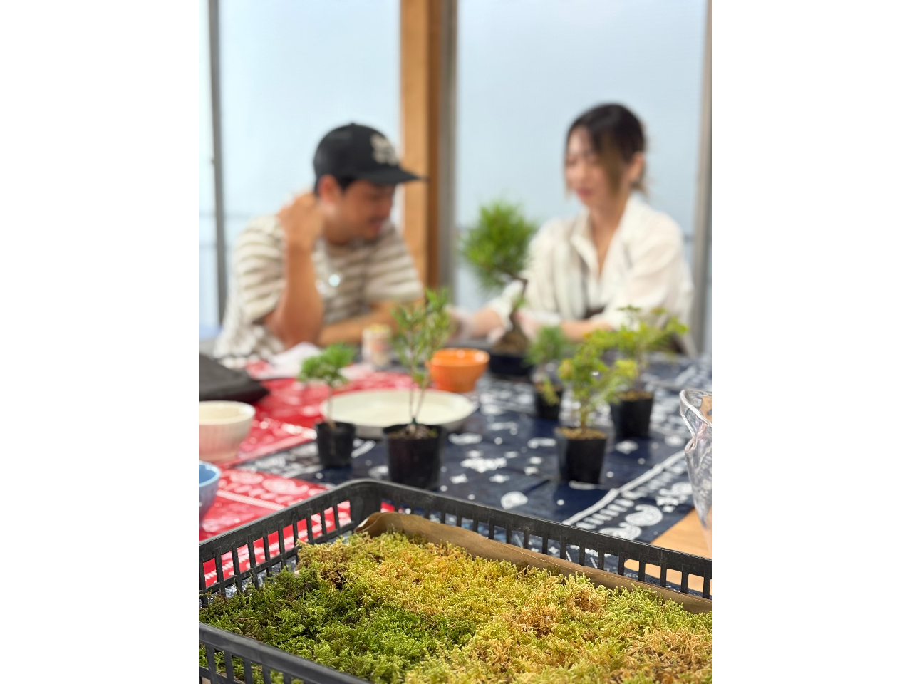 濃いめのグリーン、黄緑色と苔は、山から採ってきたものを使用します。