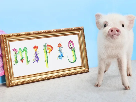 mipig cafe ���l���؊X�X�̎ʐ^2