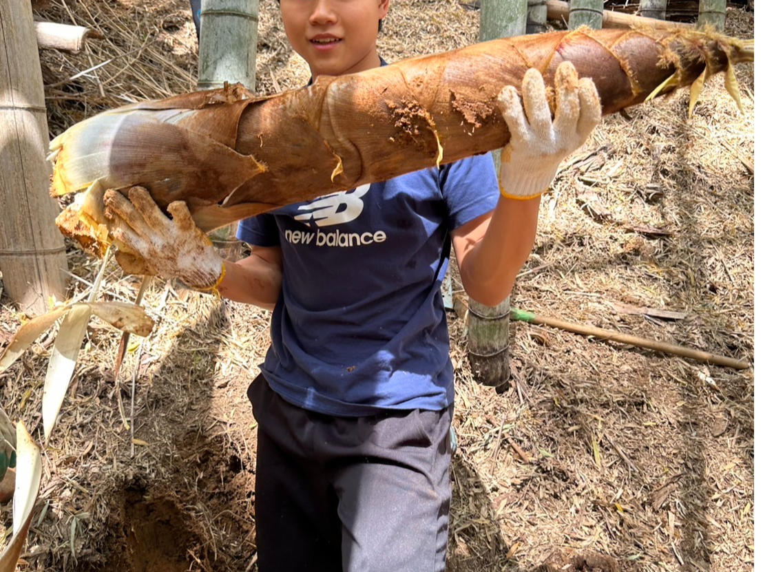 5���O��ɏo��r�b�O�Ȃ����̂����@��o���Ă݂܂��񂩁H ���̎����̂����̂��͓��ɔ��������A�@��y�������i�ʂł��B �傫�Ȃ����̂��������āA�d�������L���O1�ʂ�