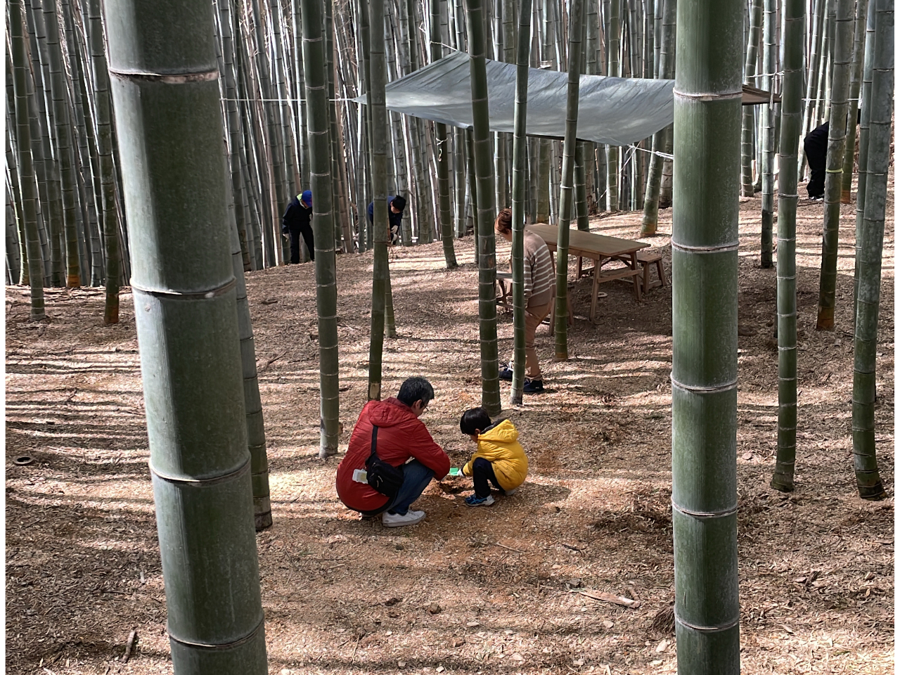 ���������q����ł�⡌@��̌��ł��܂��B�e�q�Ŋy�����ЂƎ������߂�����������