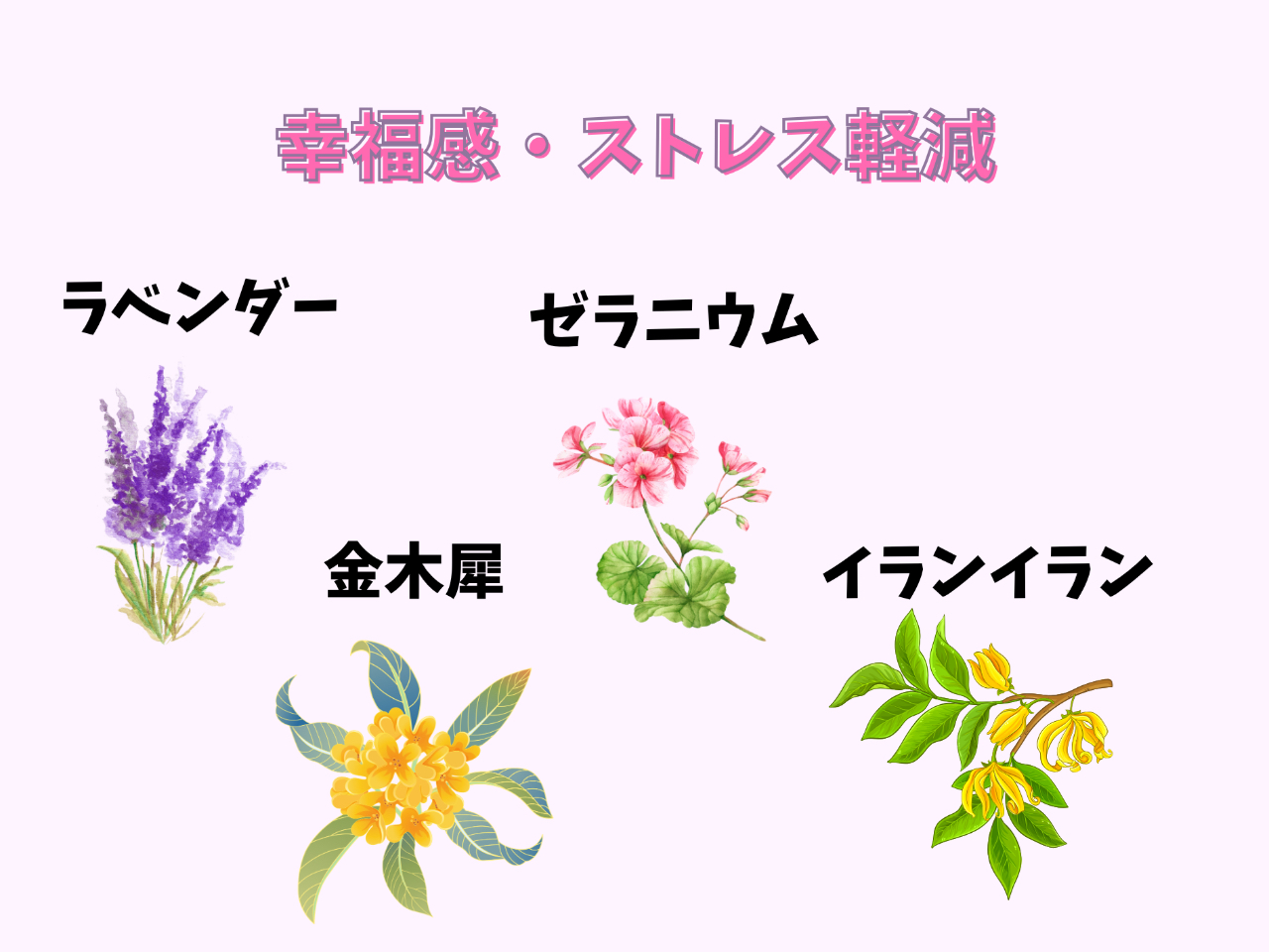 香り作り屋ならではの香りの種類の豊富さ!