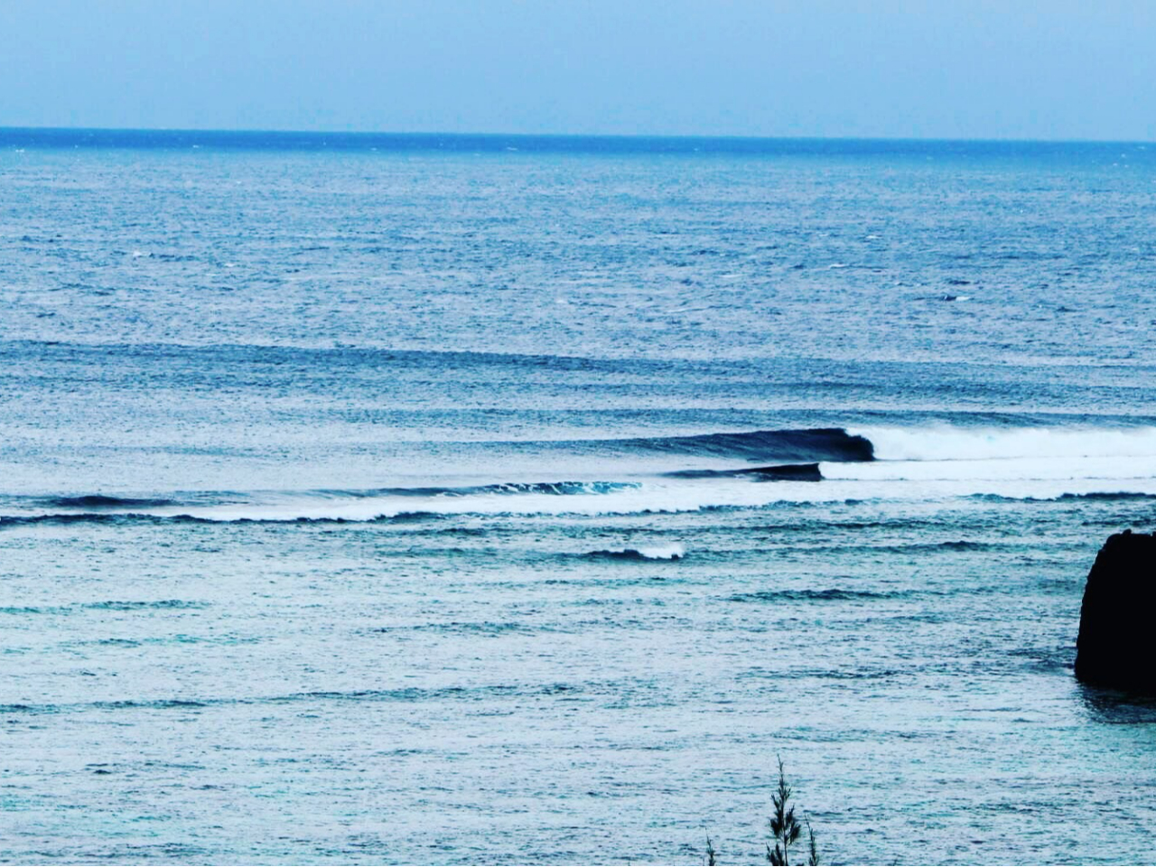 ̓̈Ԃ̃|CgւAꂵĂ܂B