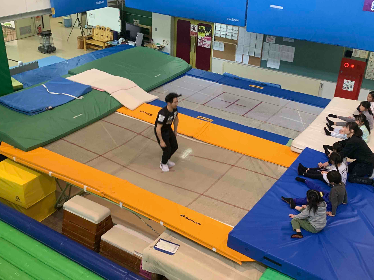 _kI4ނ̃g|^̃g|v؂yI