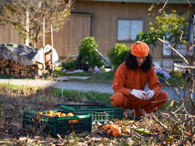 \食べごろを見極める楽しさを味わおう/