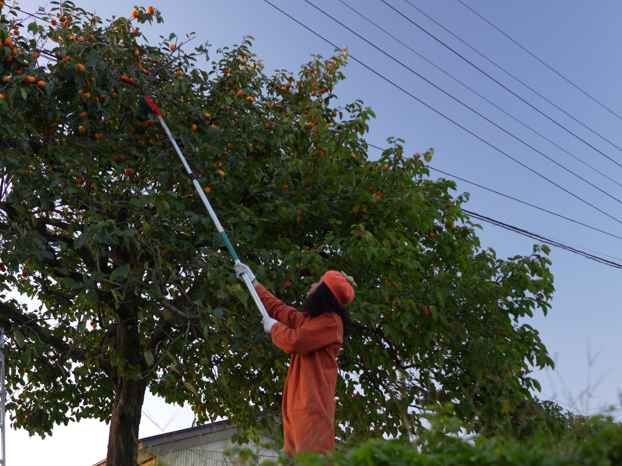 _3΁`̕܂łƑ݂Ȃły݂^