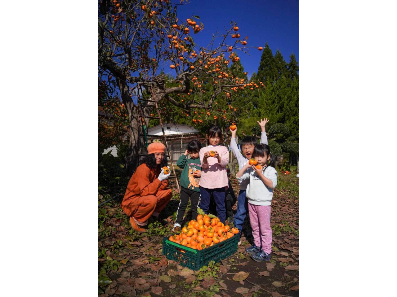 _n`1sA肢܂I̗X\ł^