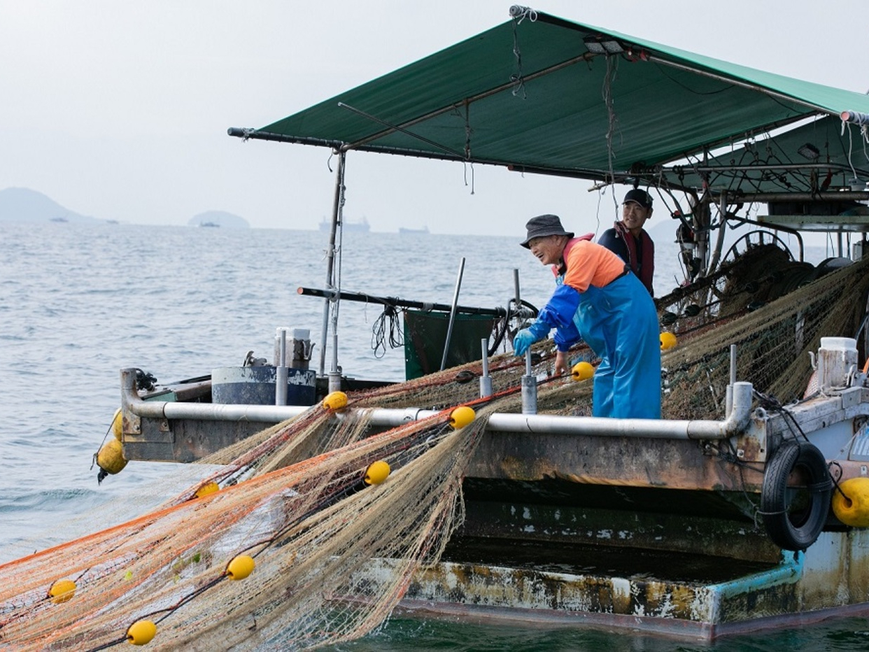 _̂܂܂̋tiʑD猩wI^