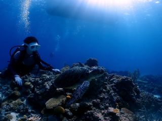 沖縄体験ダイビングウミガメと2ショット!