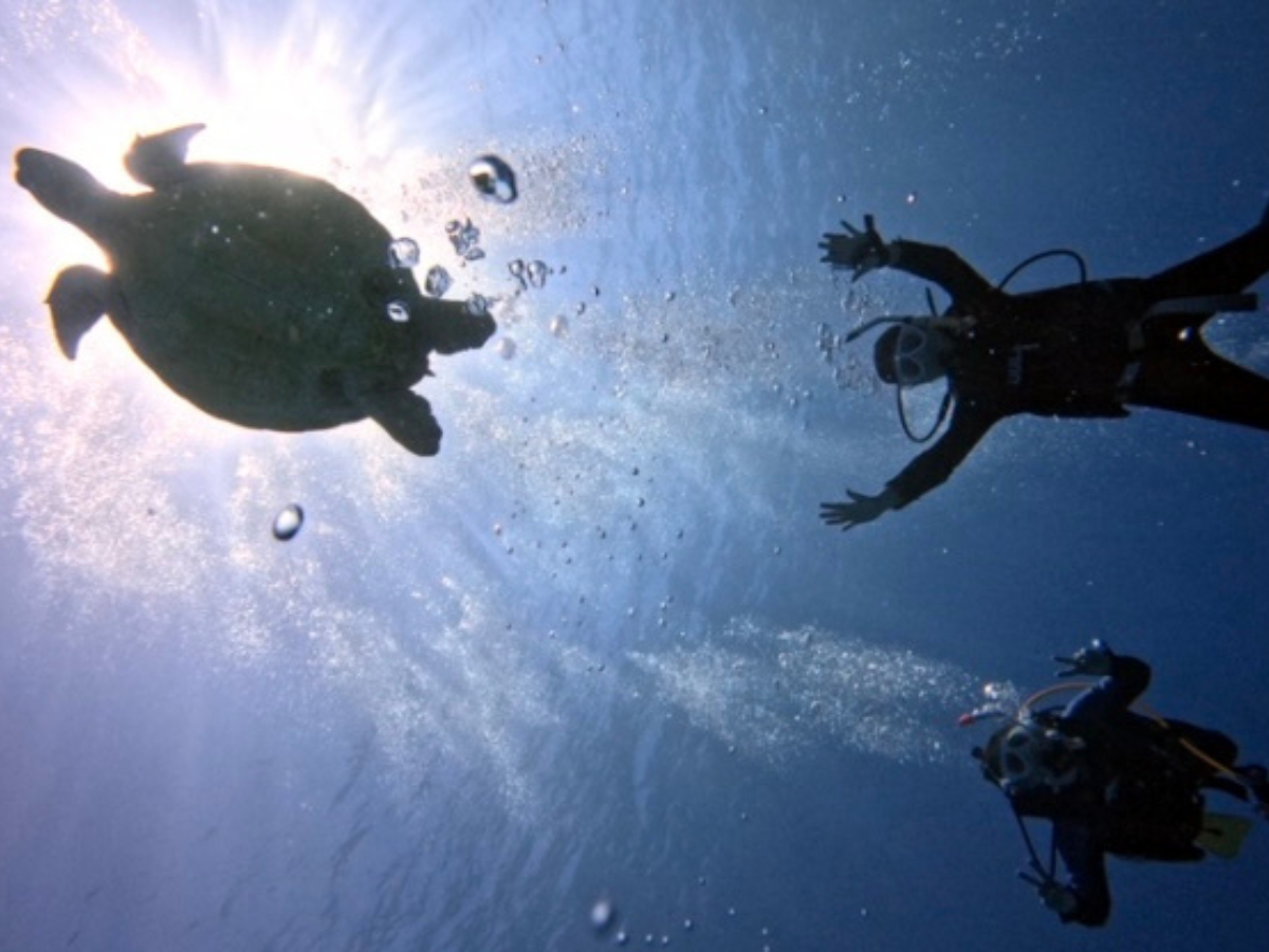 ̌_CrOIcǊԏE~KƂ̑I