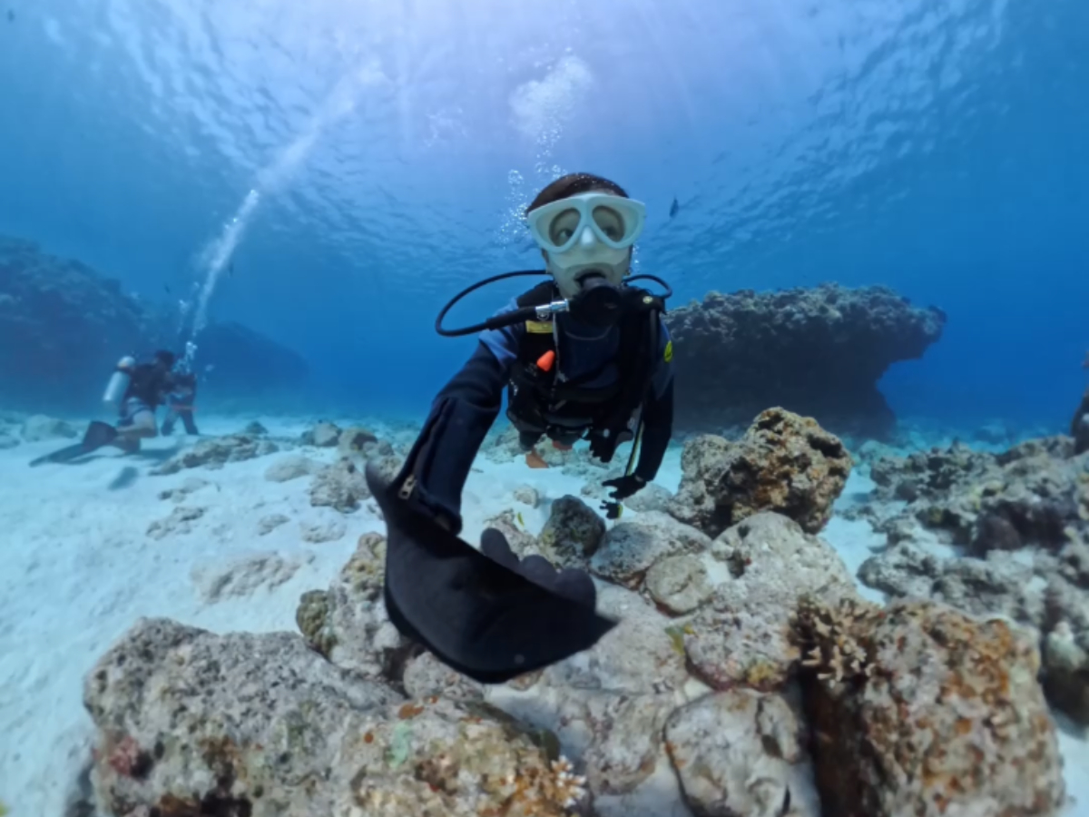 ̌_CrOIBX^CŗBꖳ̎ʐ^ɁI