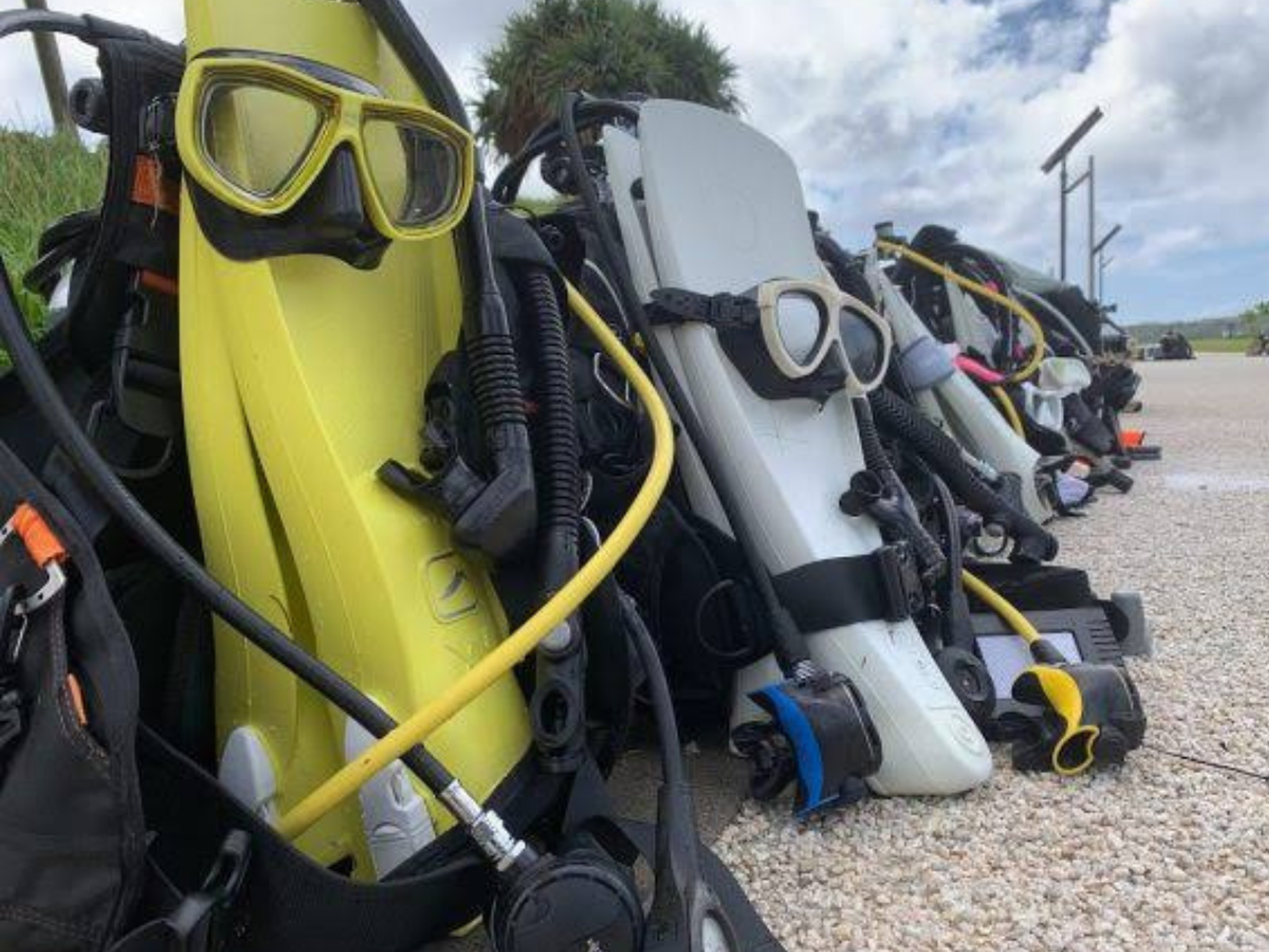 ̌_CrO̊ރ^͈ꎮĂ܂I