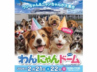 今年も、Aichi Sky Expoで開催!