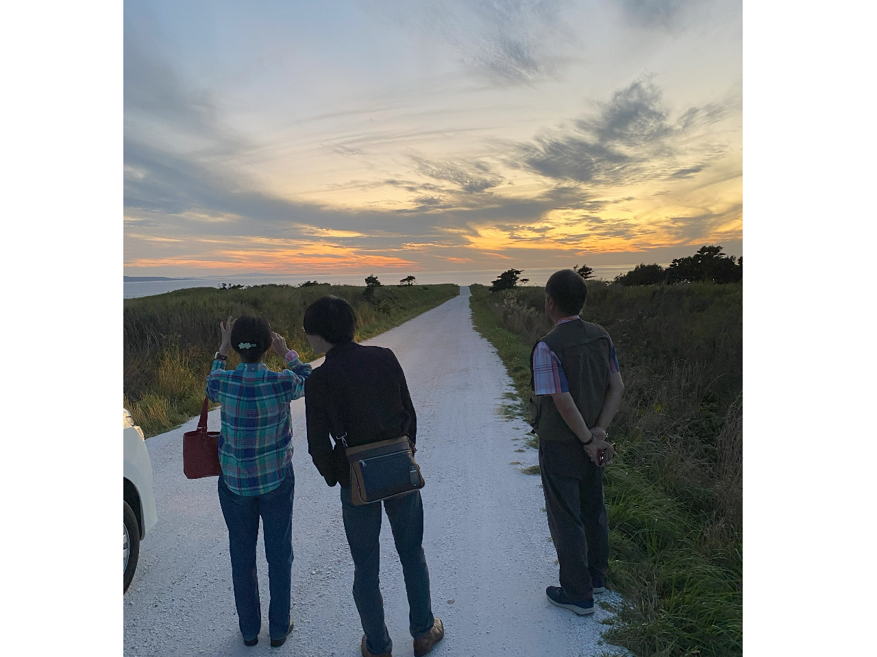 ̓ʂȊόAOIɂqlɊYTE_[W̃bg[łBĂقAĂقAql̗v]o芐Ă܂B