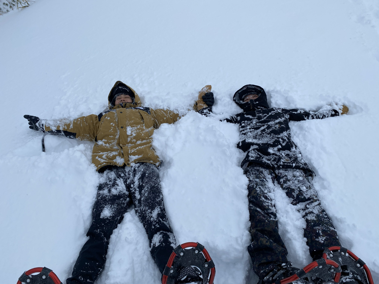 �~�͓o��l�����Ȃ��̂ň�ʃp�E�_�[�X�m�[�I���Ȃ���������Ă݂܂��񂩁H