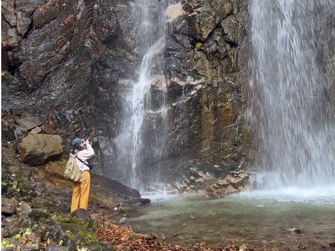 ���܂ōs����̂Ń}�C�i�X�C�I���𑶕��ɗ��т邱�Ƃ��o���܂���