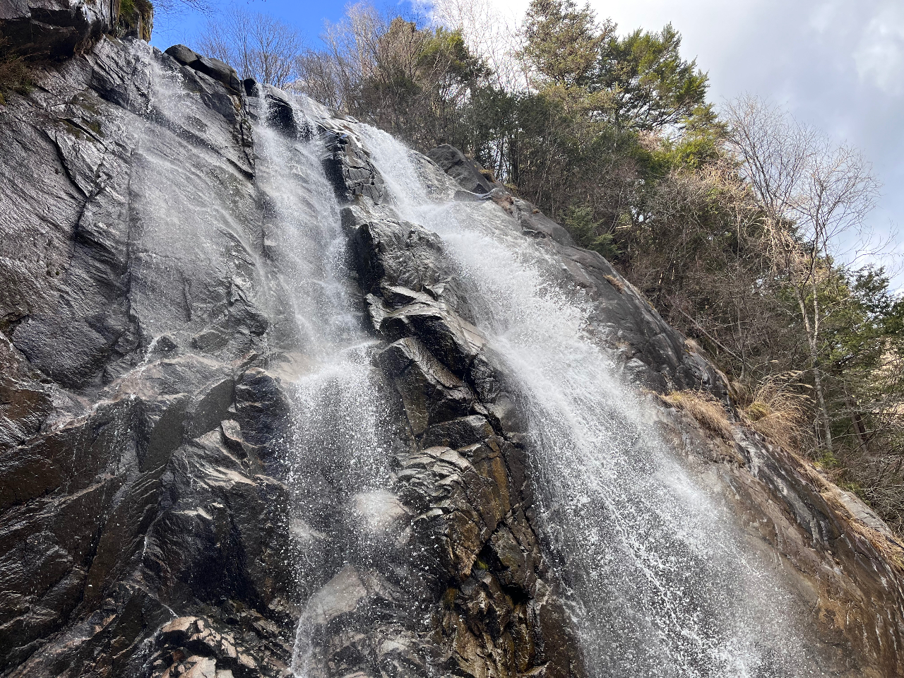 �}�C�i�X�C�I�����ӂ��ʂɕY���Ă��܂��B�@�@�p�������┧�ɗ͋����������܂���