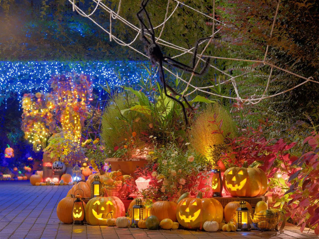 �y�n���E�B���i�C�g�������z10/23(��)�`10/25(��)�J�Áb���l�C���O���b�V���K�[�f�����t�H�g�X�|�b�g���ځI�����̓��ʊJ���`���ɕ�܂��n���E�B���i�d�q�`�P�b�g�j�y�����E�J�b�v���E�t�@�~���[�z
