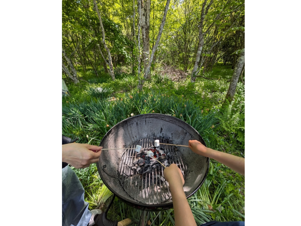 BBQ�̐H�ނ́A�߂��̂����n�X�[�p�[�u�c�����y���X�v�ł��D���Ȃ��̂𔃂��o���I�厩�R�̒��ŁA�������������̃I���W�i��BBQ���v���؂�y���݂܂��傤�B