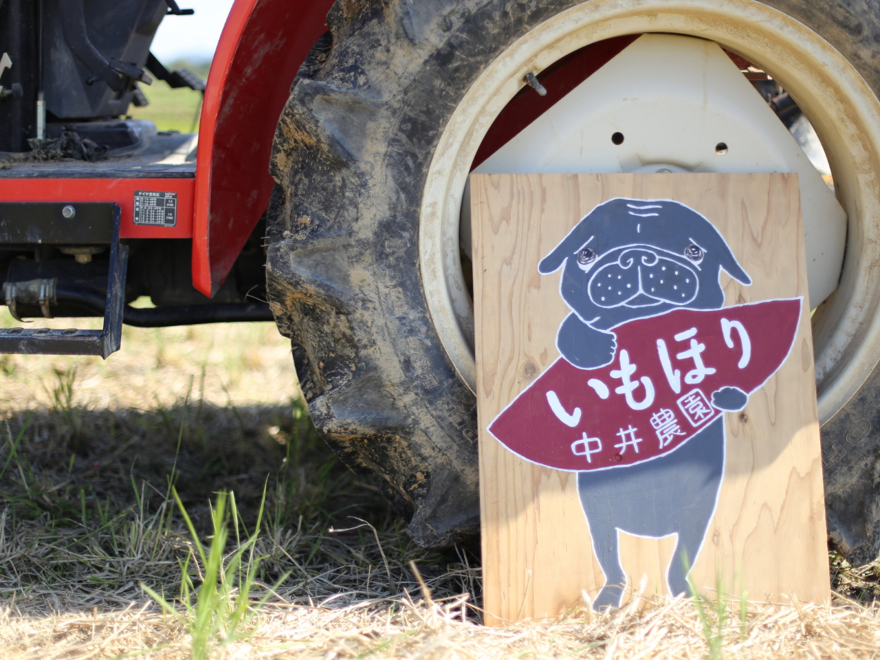 パグがおいもをもっている看板が目印です