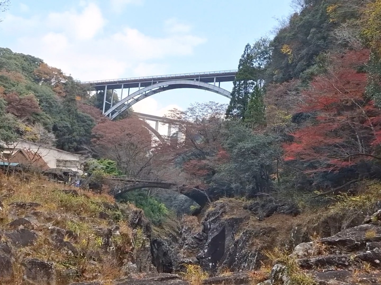 �����O��