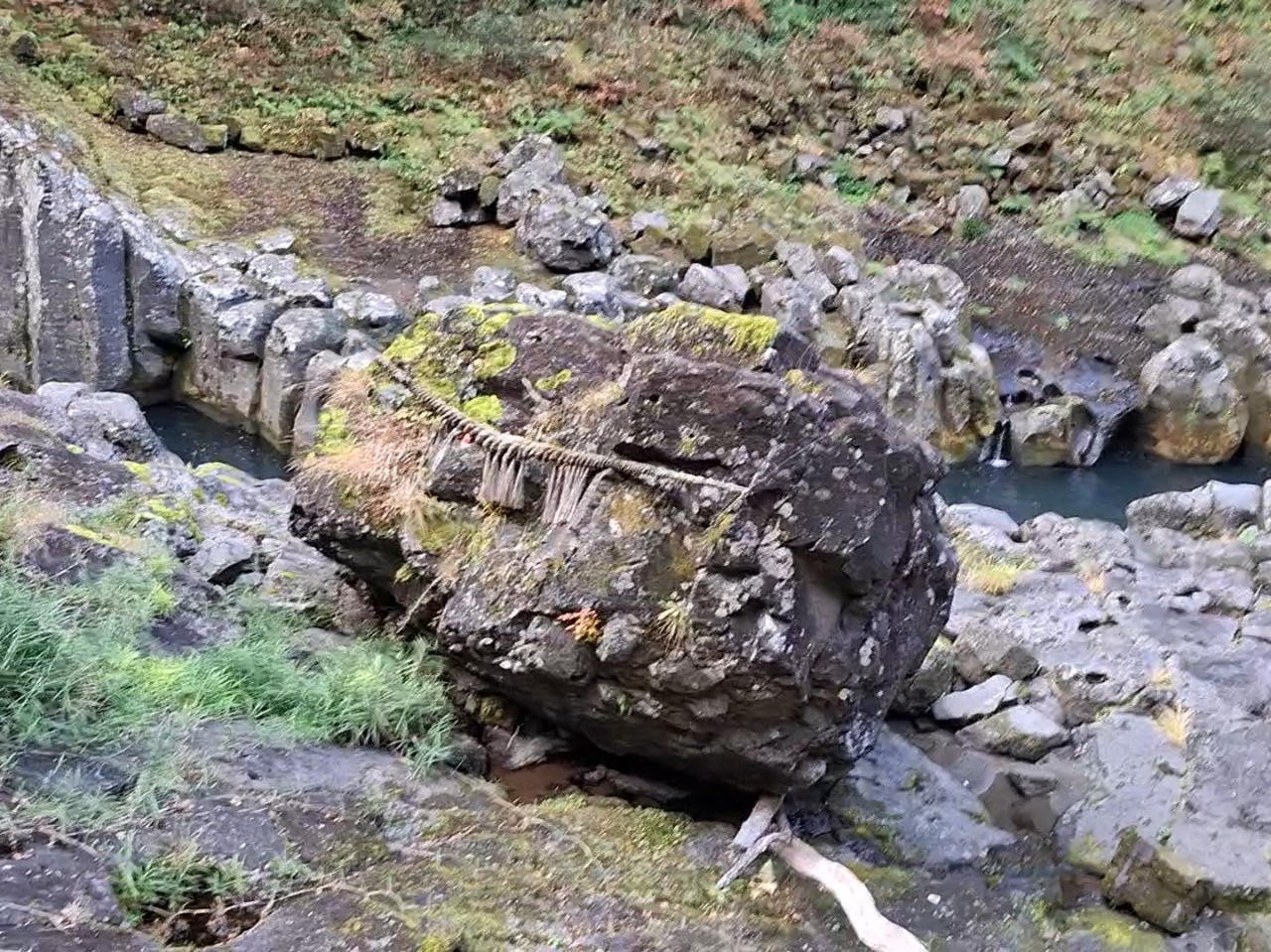 �S���̗͐�