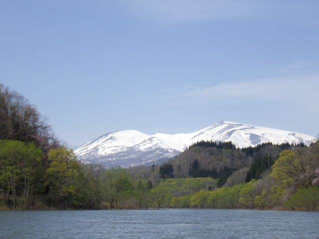 oHOR̂ЂƂAuRv̒]݂܂B