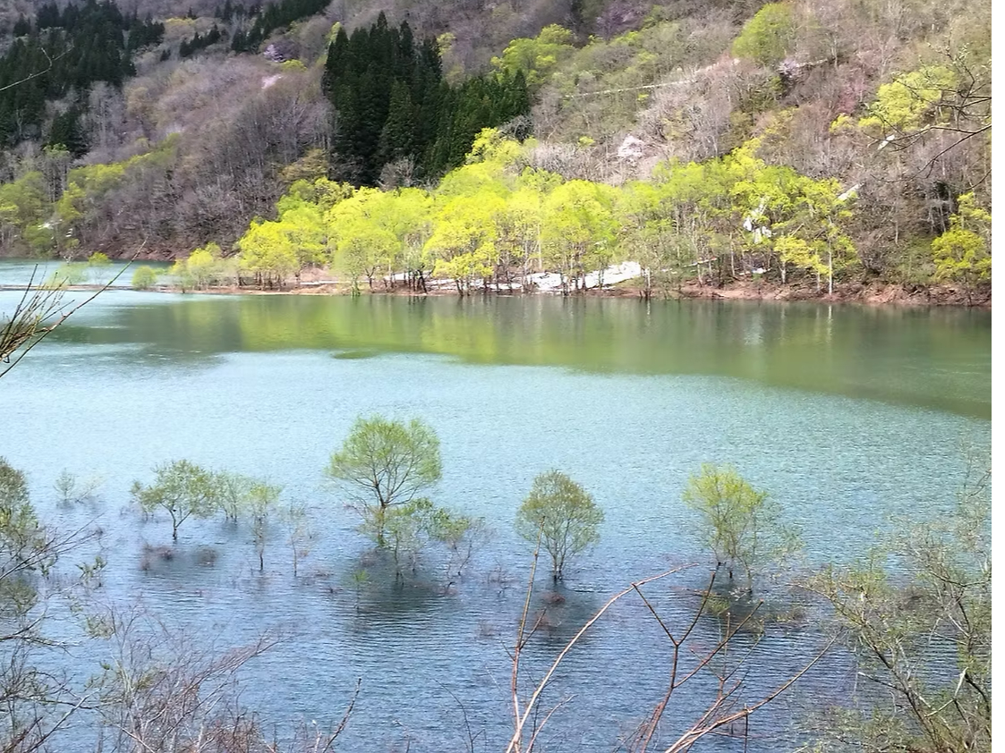 �N�₩�ȐV�΂� �m��ꂴ��~�j���v�т̐Â��Ȑ��ʂ� �������Ƒ����Ȃ���A ���R�̌i�F�����\���悤�B