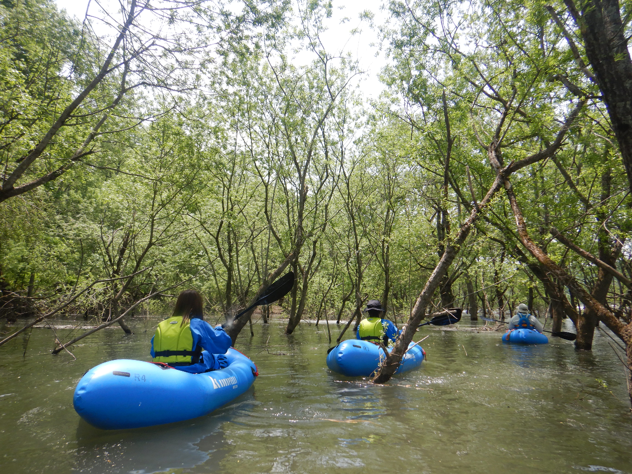 �}�C�i�[���v�тȂ̂ŁA�l���݂͂���܂���B�Â��ȃ��P�[�V�����ł��̂ŁA���ʂ���̌��R�̒��]��A���v�т����ݏo���s�v�c�Ȍi�ς��̂�т�Ɛ肵�Ă��y���݂��������I