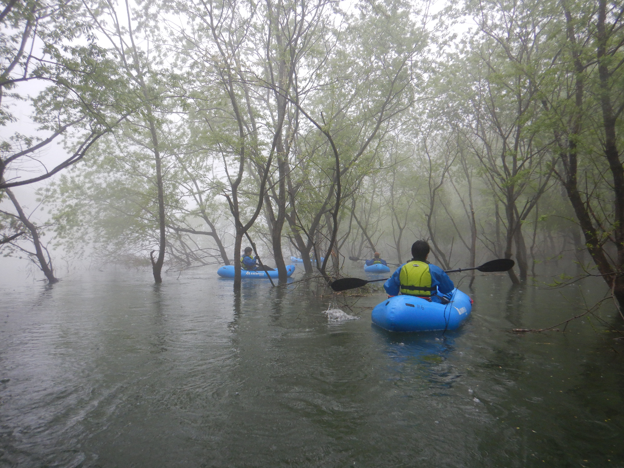 ���̐��v�т����z�I�B