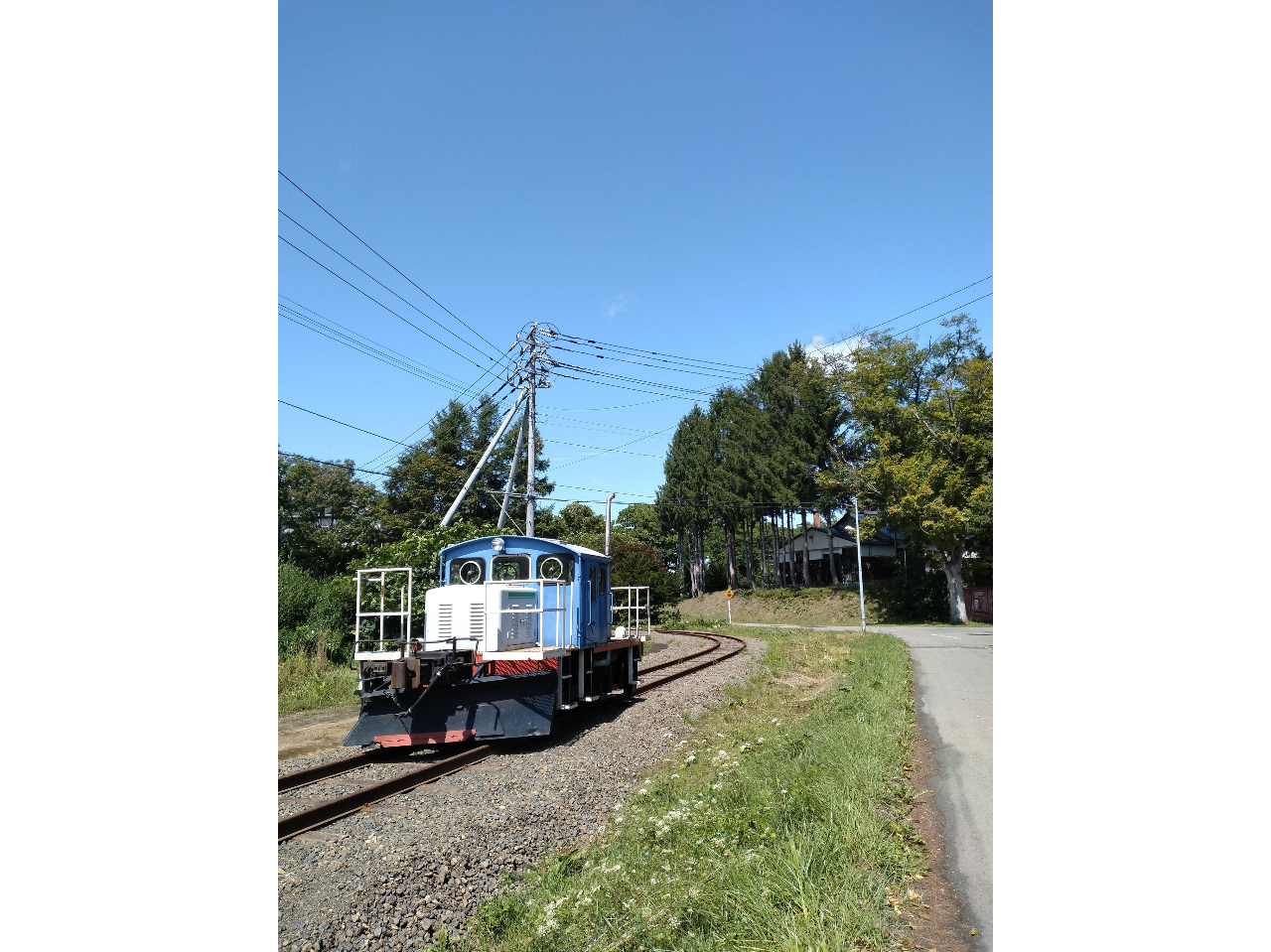 _70̐Hȓ(fB[[@֎)܂^