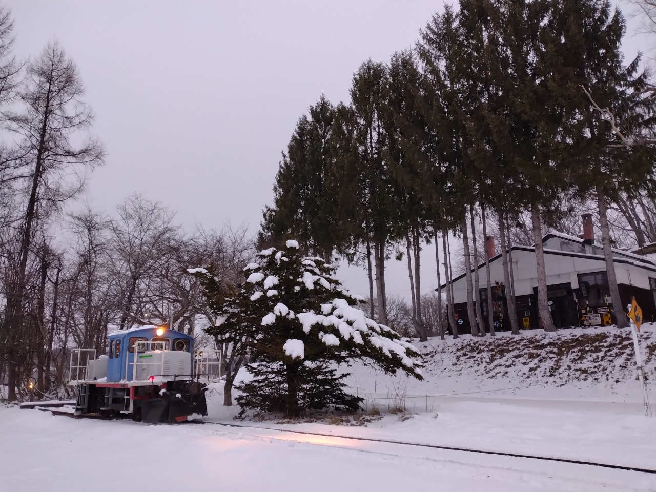 �_�^�]�̌���30���A�~�n������B�e�A��ԑ̌����ł��܂��^