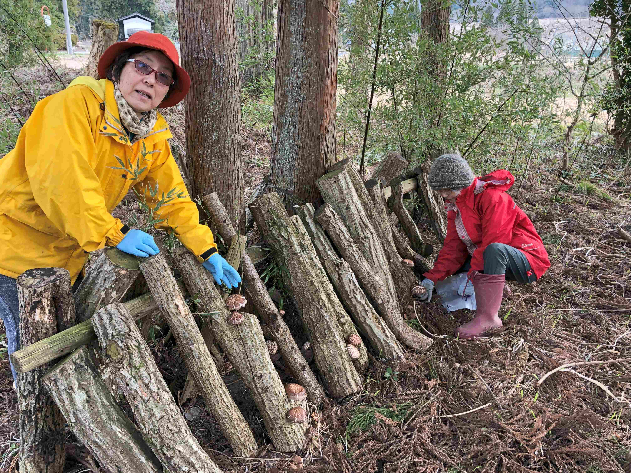 _̌ȊOɁu͔|̌vsĂ܂I^