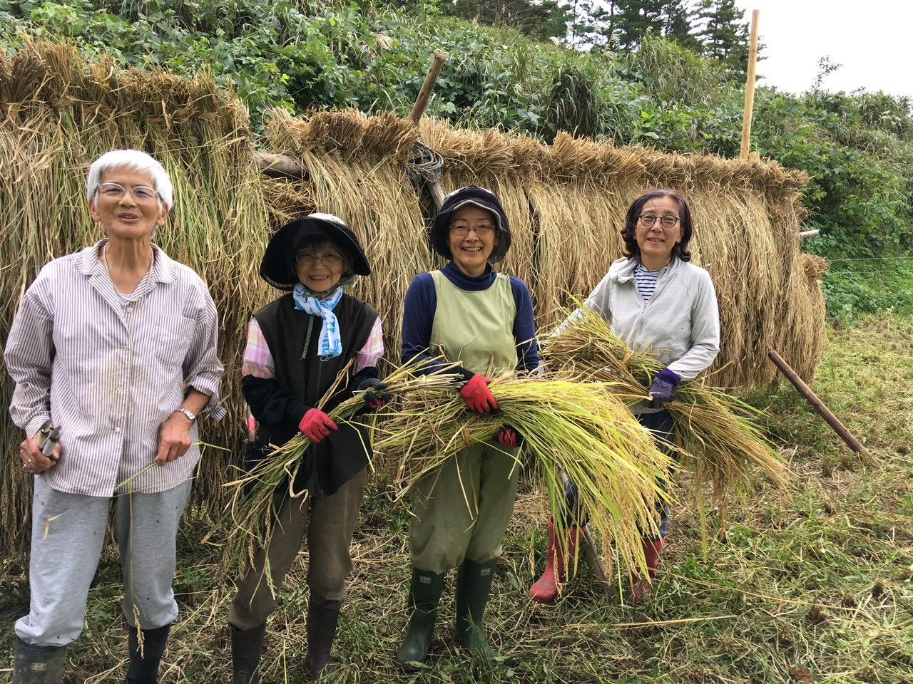 _̌ȊOɁu̌vsĂ܂I^