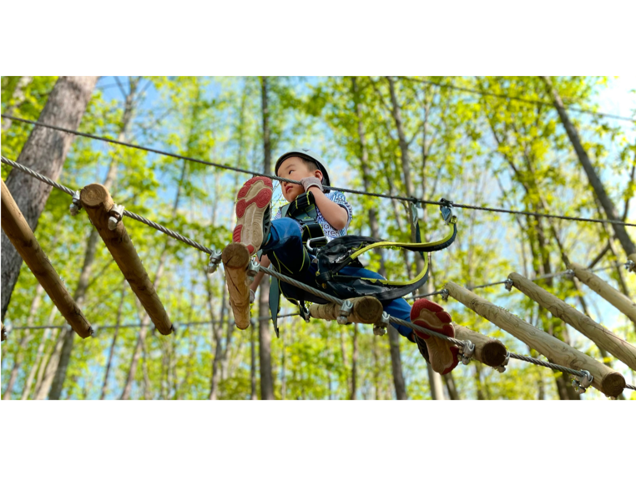 ハーネス装着で安全安心!初めてでも楽しめるコース設計。