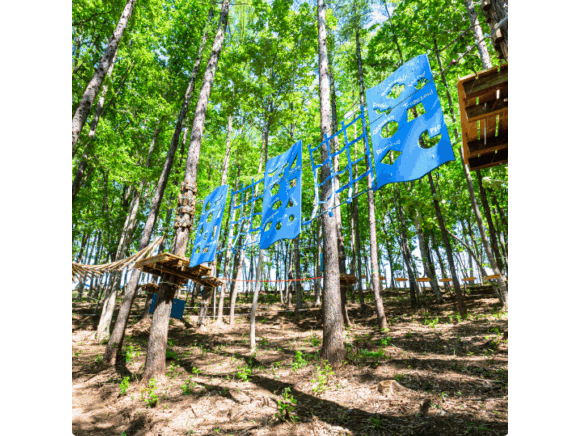 幼稚園年長さんから参加OK!親子で一緒に森の冒険へ。